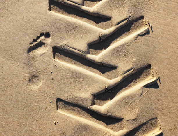footprint of the bare foot of a child on the beach sand