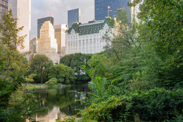 This is a wide angle photograph of the scenic Pond surrounded with lush green vegetation in Central Park with the Plaza Hotel and Midtown Manhattan buildings in the background on a sunny autumn afternoon.