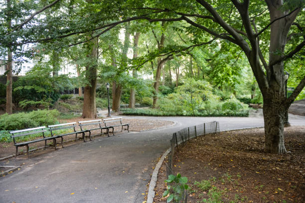 istock Central Park Sidewalk Scene with Lush Foliage in NYC 2177830353