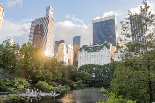 This is a wide angle photograph of the scenic Pond surrounded with lush green vegetation in Central Park with the Plaza Hotel and Midtown Manhattan buildings in the background on a sunny autumn afternoon.