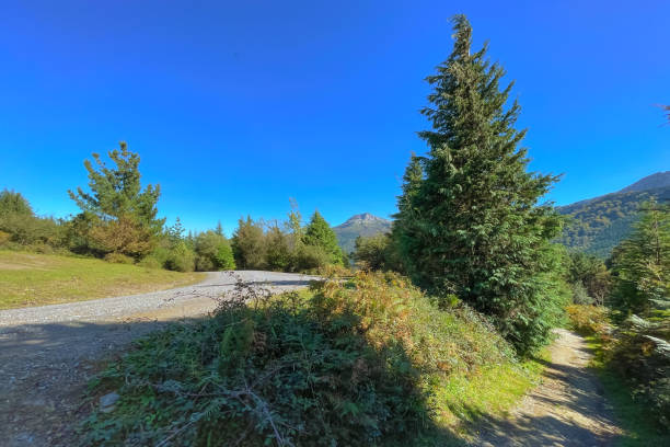 Gorbea Nature Park in the Basque Country