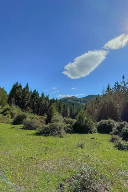 Gorbea Nature Park in the Basque Country