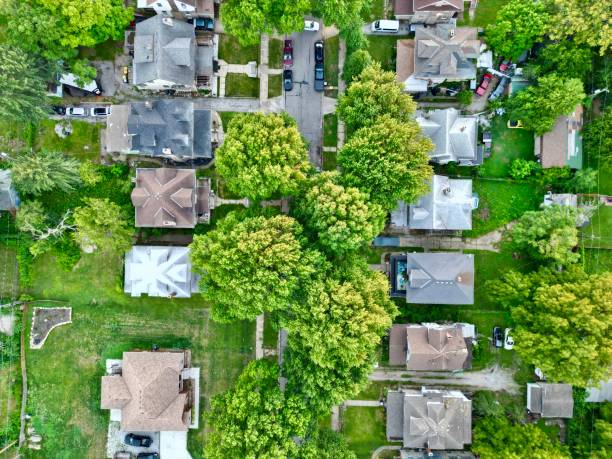 istock Top down view of houses and trees 2177838122