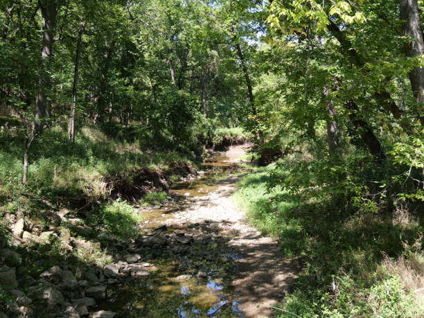 istock Sunny Day at Ernie Miller Nature Center 2177841336