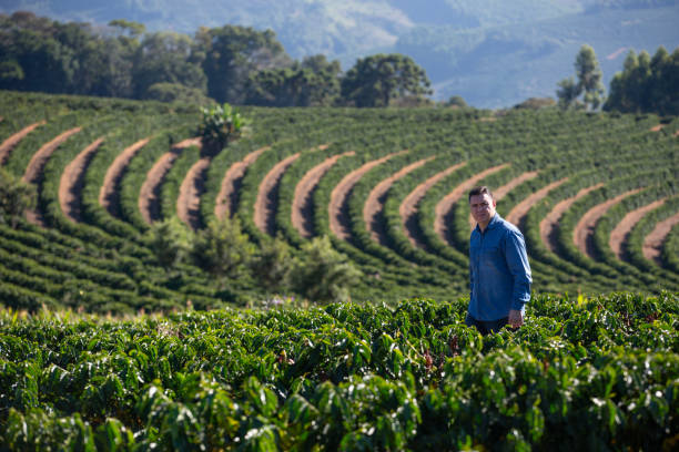 istock Farmer in coffee plantation 2177846995