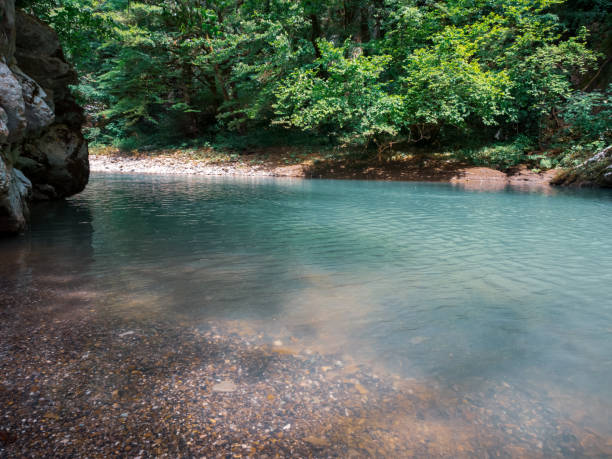 istock The river, with its rapid flow and majestic cliffs, creates a breathtaking landscape, reflecting the strength and beauty of the wild nature 2177849338