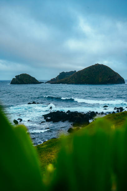 istock Dynamic view of the Atlantic Ocean crashing against rocks, featuring a beautiful blurred foreground of grass in the Azores. 2177849730