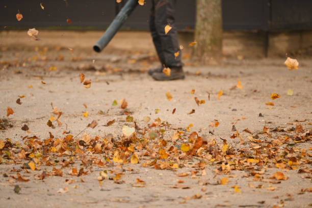 istock A man cleaning the park with a leaf blower 2177856008
