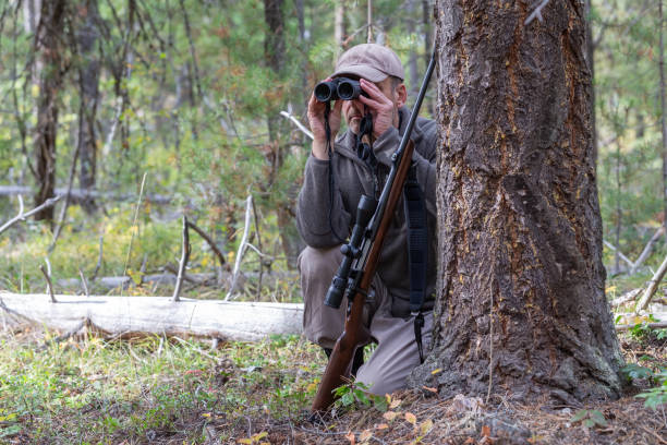istock Hunter with binoculars and rifle in the forest. 2177858098