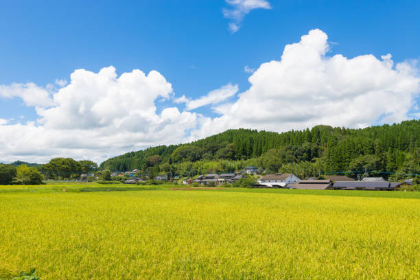 istock Rural scenery and blue sky 2177858861
