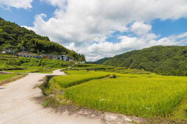 istock Blue sky and rural scenery 2177859626