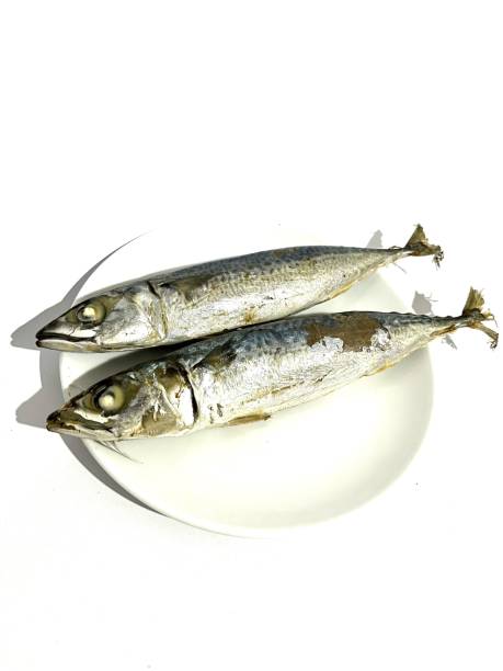 istock Sardine or cue fish isolated on white background 2177860483