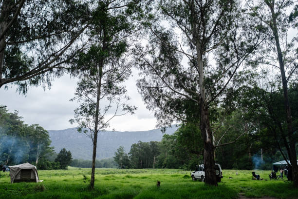 istock Bush Landscapes 2177861358