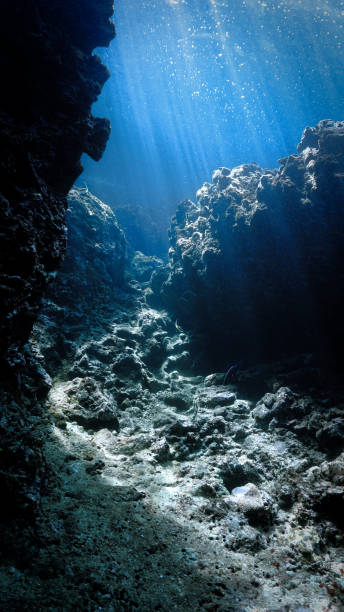 istock Underwater cathedrals of light 2177863167