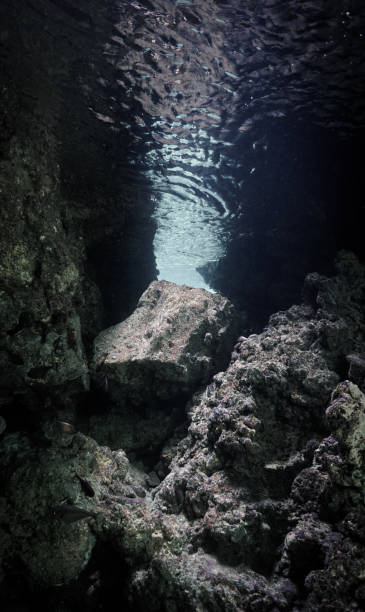 istock Underwater cathedrals of light 2177863168
