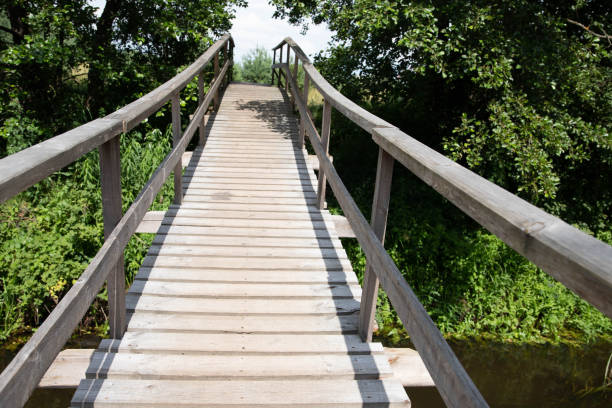 istock wooden suspension bridge across the river 2177864345