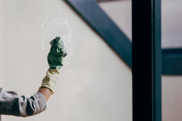 Woman in protective wear climb ladder with paint roller in hand near window, preparing to paint black accent wall. Home renovation in modern apartment interior