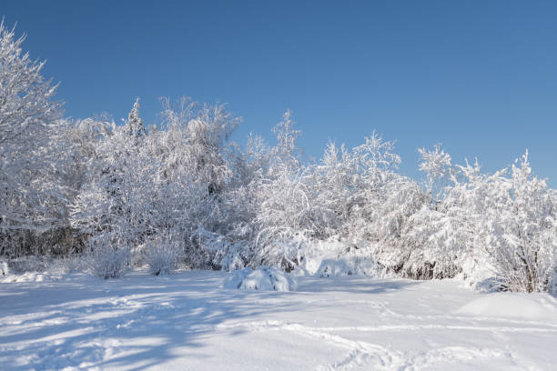 Cityscape in newly fallen snow in sunny weather.