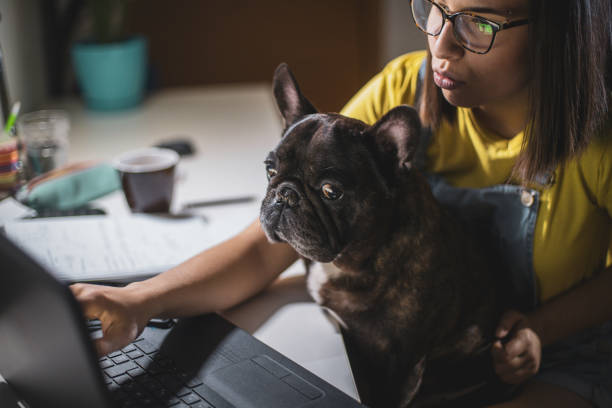istock Young woman studying at home 2177867797