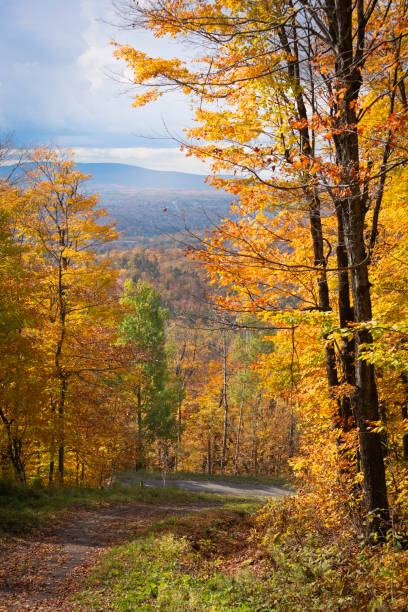 istock Beautiful View on Footpath Mountain in Autumn 2177869989
