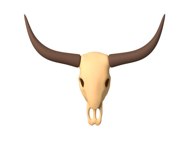 3d bull skull with horns, isolated on the white background. 3d rendering