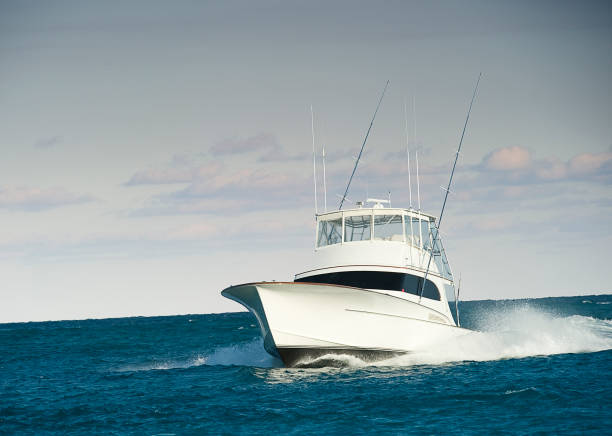 istock Sport Fisher 2177882759