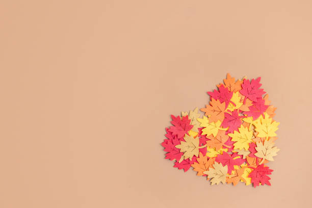 Thanksgiving Autumn Leaves Heart Background