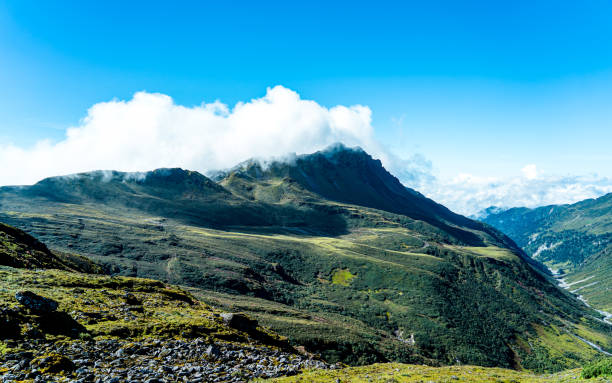 istock Mountain hill with blossom wild flower 2177883454