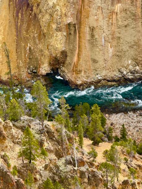 istock Grand Canyon of the Yellowstone River 2177884776