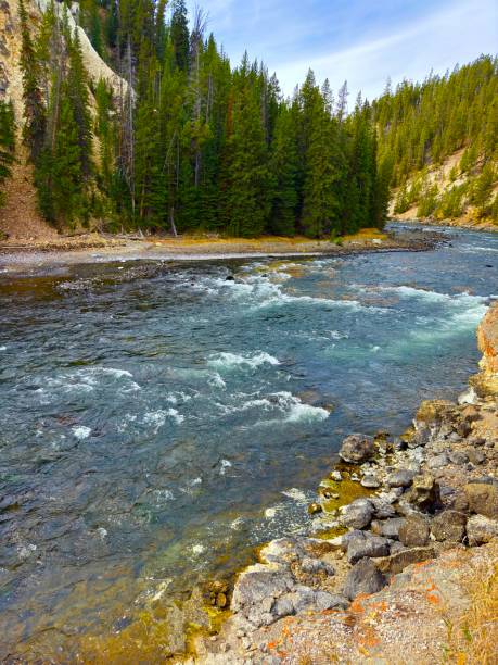 Yellowstone National Park