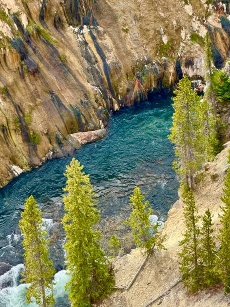istock Grand Canyon of the Yellowstone River 2177885207