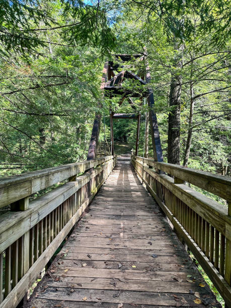 A-frame wooden bridge at Hocking Hills State Park in Logan, Ohio