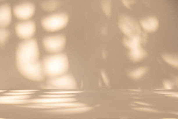 istock Studio style background wall decoration presentation uses white and beige tones. with shadows cast from a nearby window, concept creating a decorative 2177891185