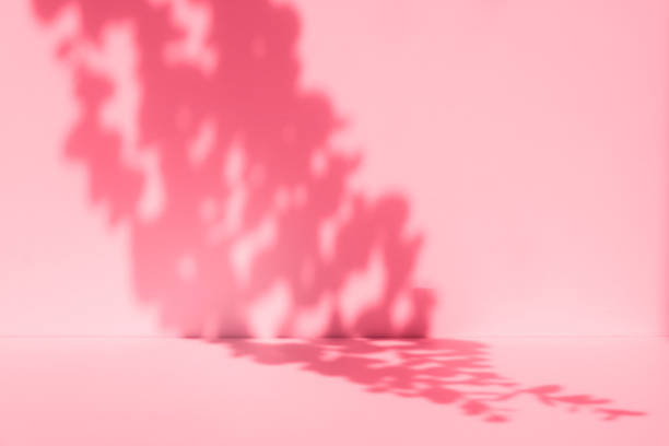 istock Wall interior background, studio, and backdrops show products. with shadow from window color white and pink light. background for text insertion and presentation of product 2177891191