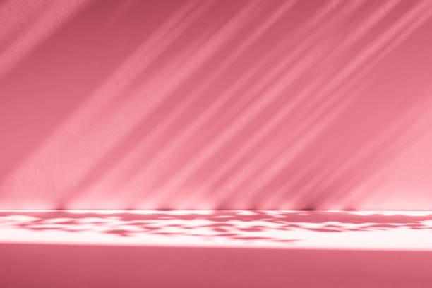 istock Wall interior background, studio, and backdrops show products. with shadow from window color white and pink light. background for text insertion and presentation of product 2177891243