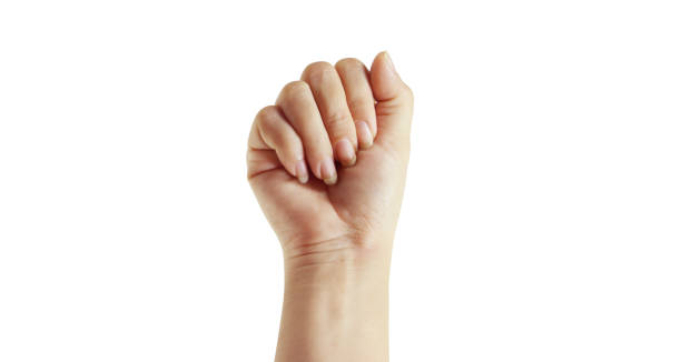 istock fist bump and knuckle hand 2177891451