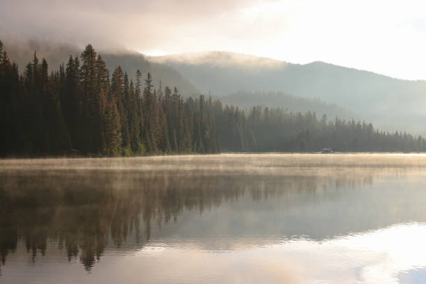 istock pine trees reflect in a steaming lake 2177891975