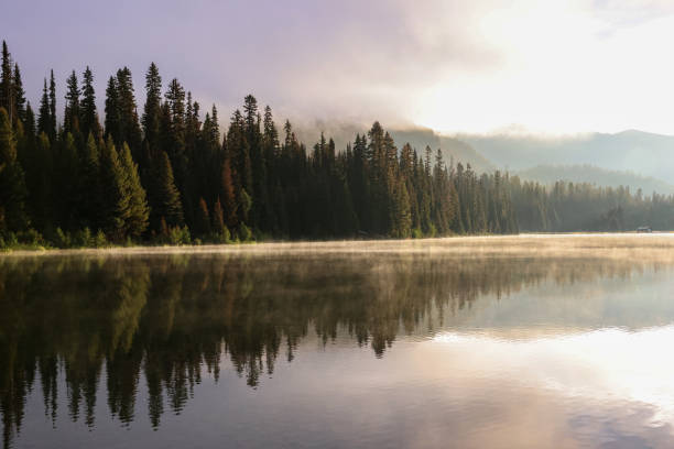 istock pine trees reflect in a steaming lake 2177891977