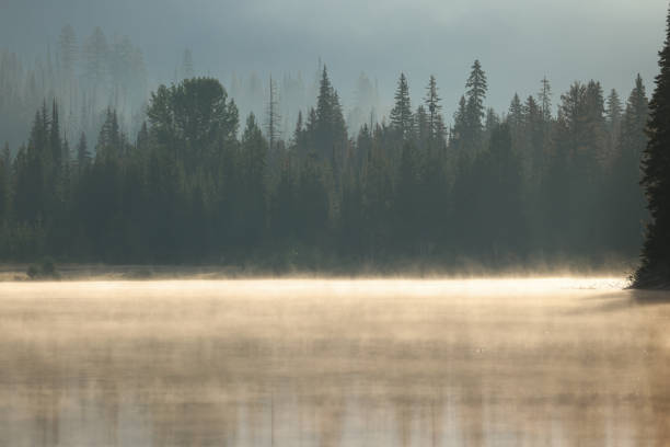 steaming surface of a lightning lake in British Columbia