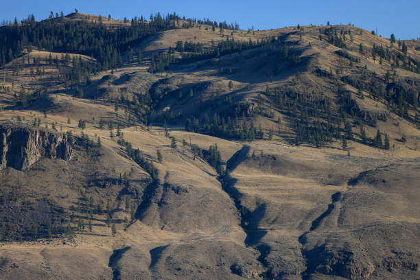 an unforested hill in British Columbia