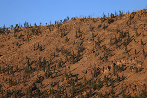 istock an unforested mountain ridge in sunset light 2177892259