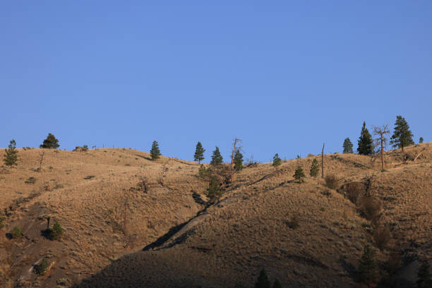 an unforested mountain ridge in sunset light
