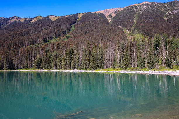 mountains are reflected in the water surface of duffey lake