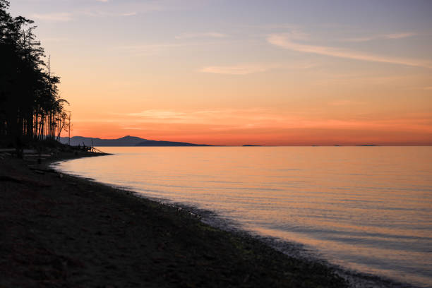 sunset light at the Pacific Ocean in Vancouver Island