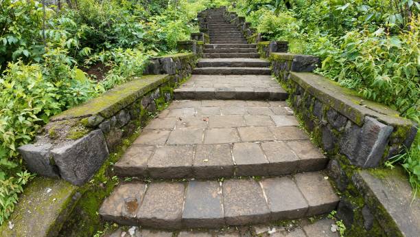 istock Stone steps ascend through vibrant greenery on a mountainside, inviting exploration and adventure in nature's embrace 2177895617
