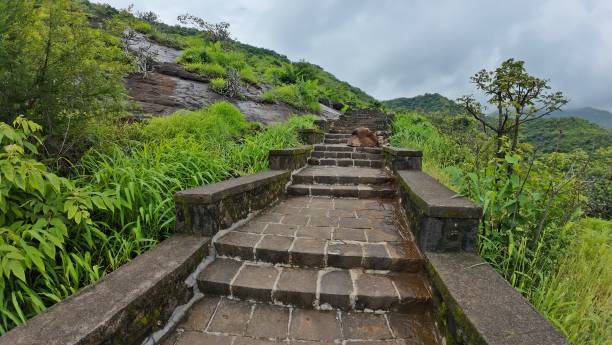 istock Stone steps ascend through vibrant greenery on a mountainside, inviting exploration and adventure in nature's embrace 2177895646