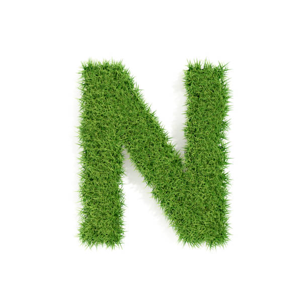 istock Letter N with Grass on White Background 2177896481