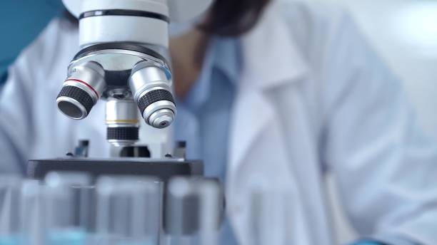 istock Scientist using microscope in laboratory. Close-up of a researcher's hands adjusting a modern microscope in a lab setting 2177907381