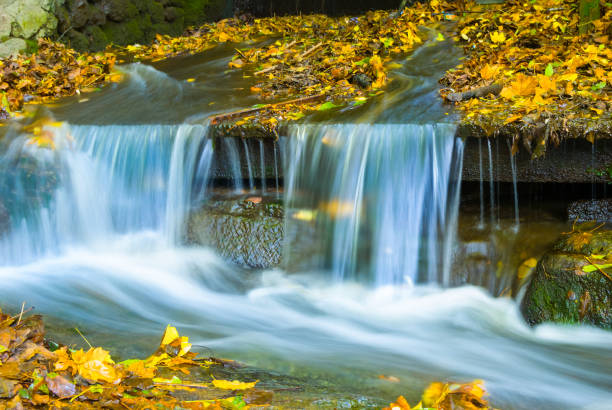 small mountain brook rushing over a stones among red dry leaves
