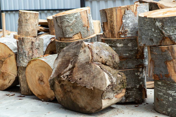 istock Fire wood stumps pile, ready for cracking, winter is coming 2177913378